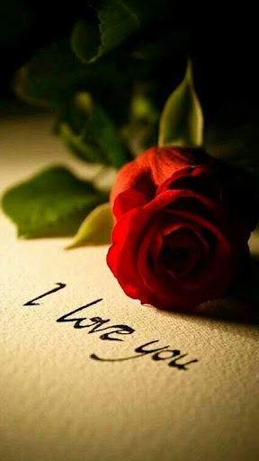 Red Rose Wallpapers screenshot 8