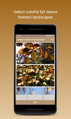 Autumn Garden on Chromecastのおすすめ画像3