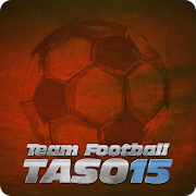 Team Football 15
