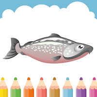 Salmon Coloring Book