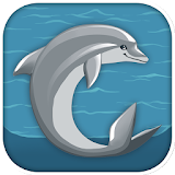 Flippy Dolphin icon