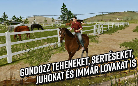 Képernyőkép