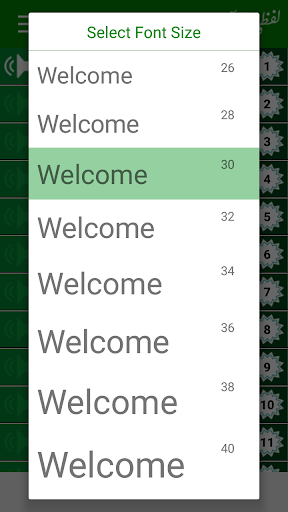Quran Lafzi - Word by Word Screenshot