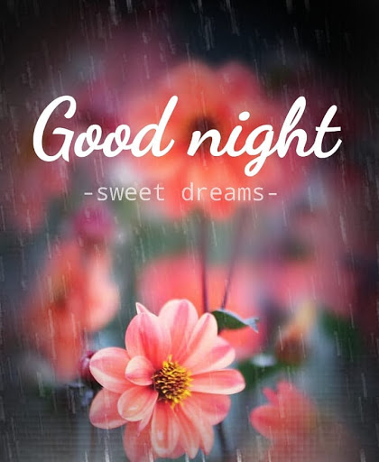 Italian for goodnight & sweet dreams