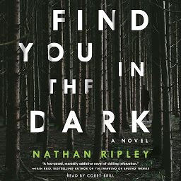 Icon image Find You in the Dark: A Novel