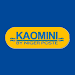 KAOMINI