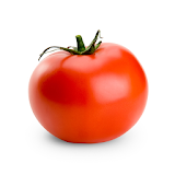 The Killer Tomato icon