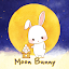 Moon Bunny +HOME Theme
