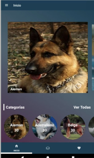 Android application Imágenes de Perros Pastores screenshort