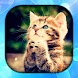 猫 壁紙 HD/3D/4K - Androidアプリ