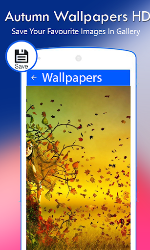Autumn Wallpapers HD Screen 3