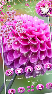 Dahlia Flower Theme