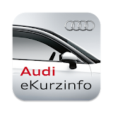 Audi eKurzinfo icon
