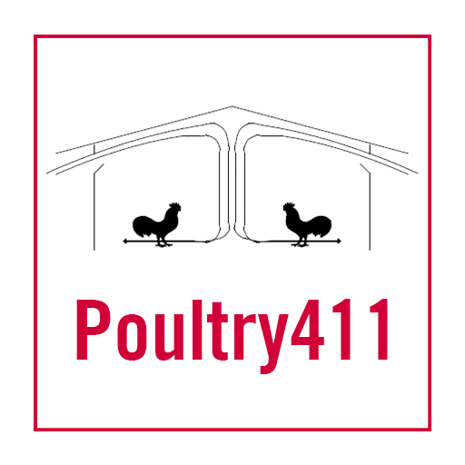 Poultry411 logo