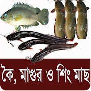 কৈ,শিং, মাগুর মাছ চাষ পদ্ধতি - Bangla Fish Farming