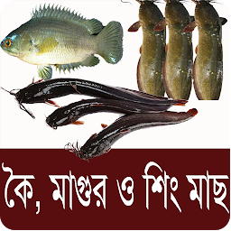 Imagen de ícono de কৈ,শিং, মাগুর মাছ চাষ পদ্ধতি -