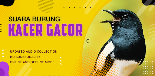 Suara Kicau: Burung Kacer Screen 2
