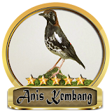 Chirping Anis Kembang Champion icon