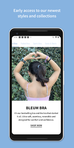 Bleuet Screen 2