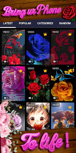 beautiful rose wallpaper Screenshot 2 - AppWisp.com