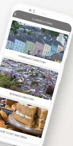 Llandeilo Town Screen 2