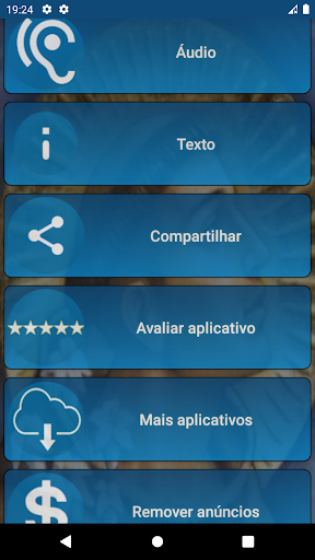 Visualização do aplicativo