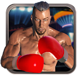 Real 3D Boxing Punch icon