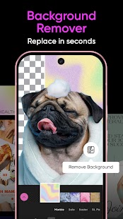 Picsart AI Photo Editor, Video Screenshot