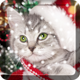 Christmas Cat  Live Wallpaper icon