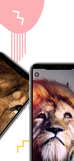 Lion Wallpaper HD 4K