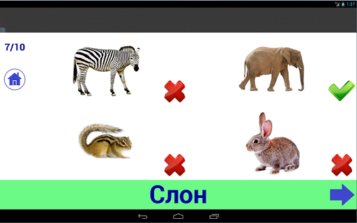 Android application Животный мир для детей screenshort