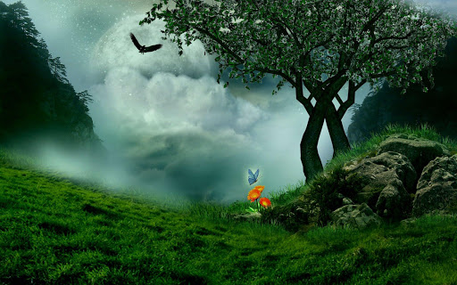 Android application Nature wallpaper screenshort