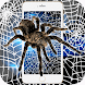 Spider Theme Black White Cobweb Full Of Cracks - Androidアプリ