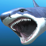 Cover Image of Télécharger Great white shark breeding AR  APK