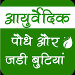 Cover Image of Télécharger आयुर्वेदिक पौधे और जड़ी बूटियाँ 1.1 APK