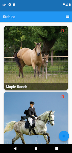 Horse Diary Screen 2