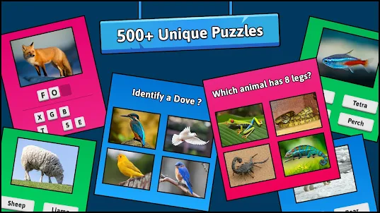 Animal Quiz Guess their Answer