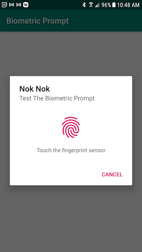 Nok Nok™ Biometric Test Screen 2