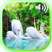 Waterfalls and Swans Live Wallpaper