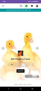 NM Poultry Rates|Poultry Tips