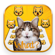 Top 39 Communication Apps Like Crazy Cats Emoji Stickers - Best Alternatives