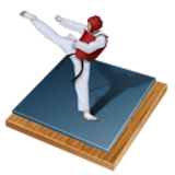 Taekwondo Bible icon
