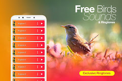Best Birds Ringtones 2020 & Bird Sounds
