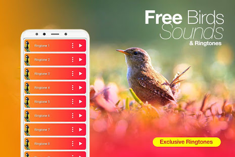 Best Birds Ringtones 2020 & Bird Sounds(圖1)-速報App
