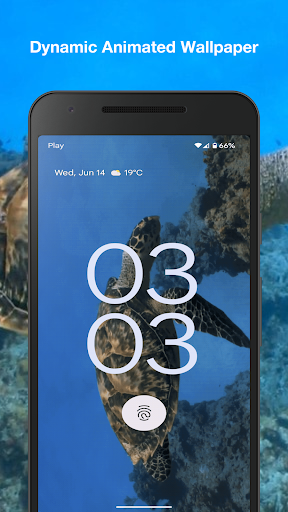 Turtle Live Wallpaper Screen 2