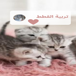 Cover Image of 下载 تربية القطط في المنزل 1 APK