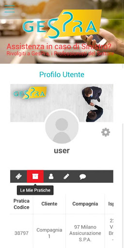 GesPra: Gestione Professionale Screen 2