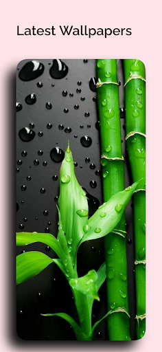 Theme for Infinix Hot 11 Screen 3