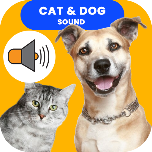 cat dog rat sound app