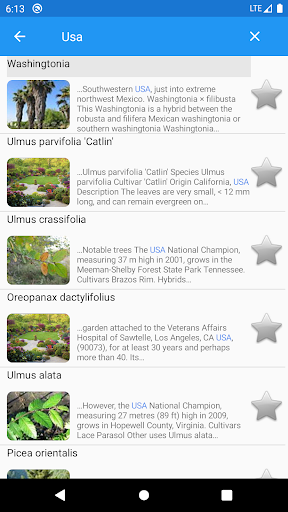 Ornamental trees Screen 2
